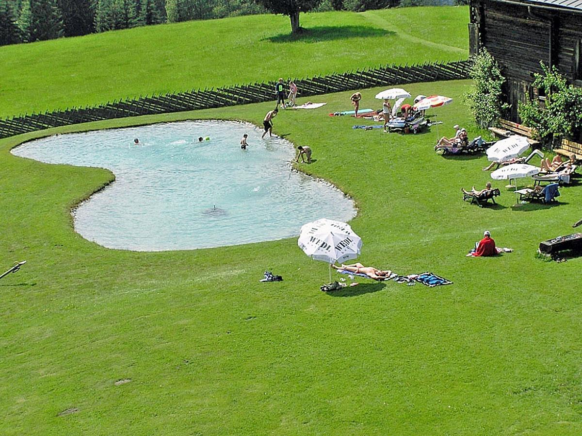 Almliesl Holl-556 Villa Hollersbach im Pinzgau Luaran gambar